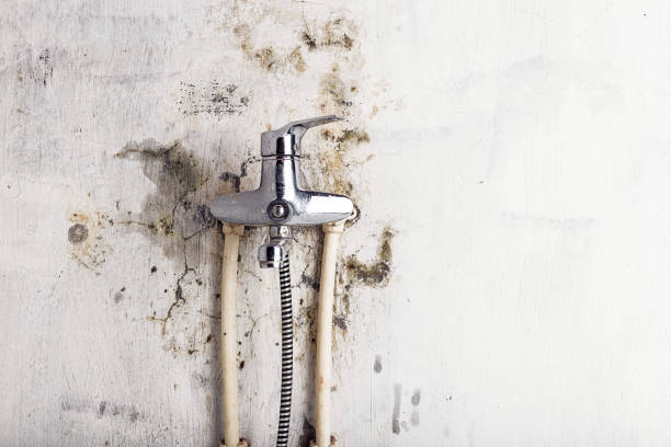 Best Post-Remediation Services in Gladeville, TN