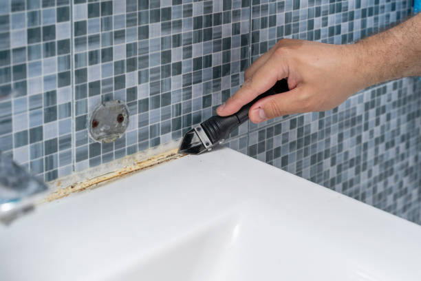 Professional Mold Remediation in Gladeville, TN